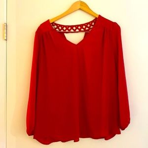 NWOT Skies are Blue size XXL blouse